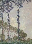 Claude Monet WInd Effect,Sequence of Poplars USA oil painting artist